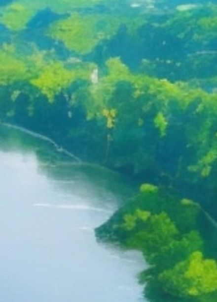 Я, ты, он, она – вместе целая страна!