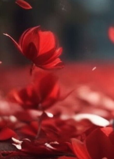 Романтическая коллекция