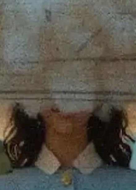 Жёны гениев. Постановка